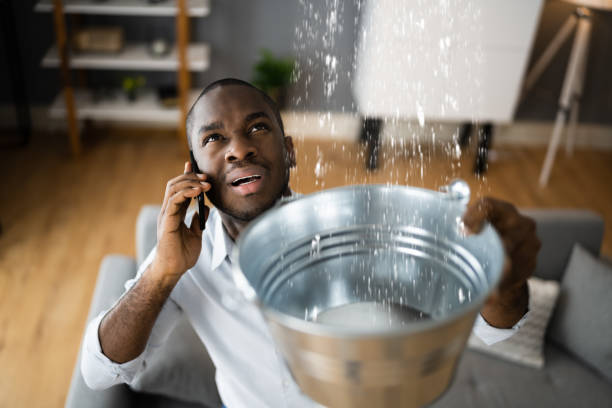 Best Water Damage Insurance Claim Assistance in Bassett, VA